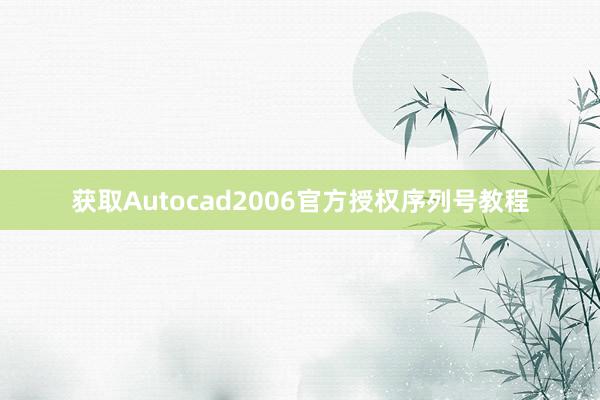获取Autocad2006官方授权序列号教程